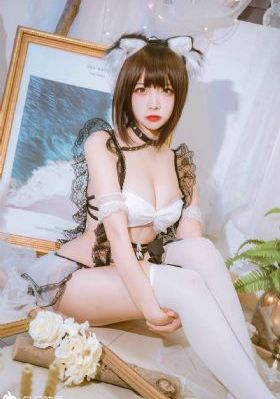 疯狂动物城免费观看_DVD电视剧在线观看